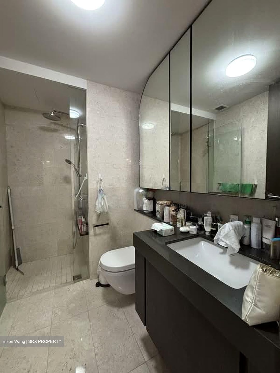 Avenue South Residence (D3), Apartment #528763281